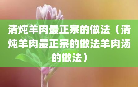 清炖羊肉最正宗的做法（清炖羊肉最正宗的做法羊肉汤的做法）