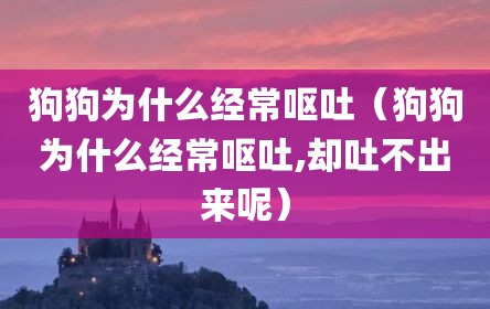 狗狗为什么经常呕吐（狗狗为什么经常呕吐,却吐不出来呢）