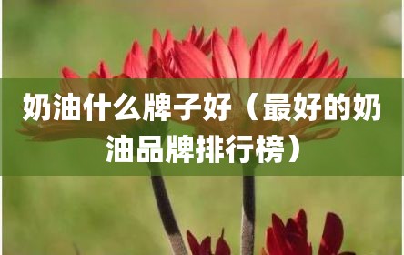 奶油什么牌子好（最好的奶油品牌排行榜）