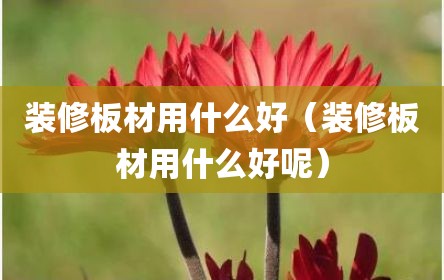 装修板材用什么好（装修板材用什么好呢）