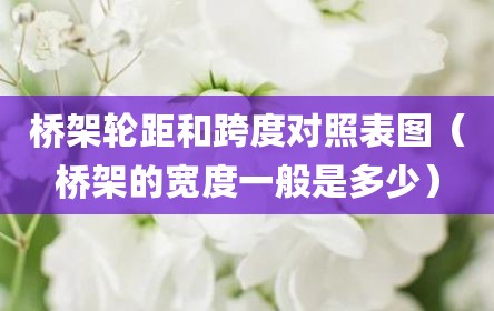 桥架轮距和跨度对照表图（桥架的宽度一般是多少）