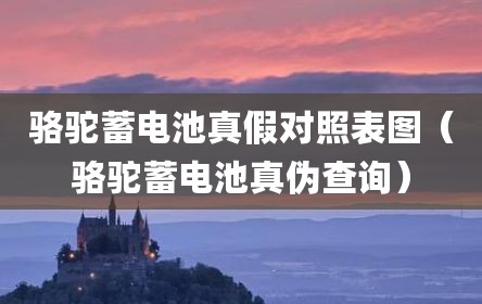 骆驼蓄电池真假对照表图（骆驼蓄电池真伪查询）