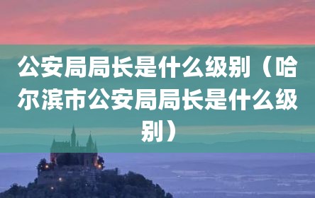 公安局局长是什么级别（哈尔滨市公安局局长是什么级别）