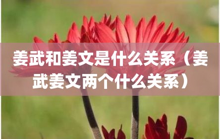 姜武和姜文是什么关系（姜武姜文两个什么关系）
