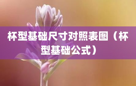 杯型基础尺寸对照表图（杯型基础公式）