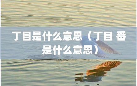 丁目是什么意思（丁目 番 是什么意思）