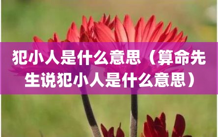 犯小人是什么意思（算命先生说犯小人是什么意思）