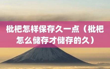枇杷怎样保存久一点（枇杷怎么储存才储存的久）