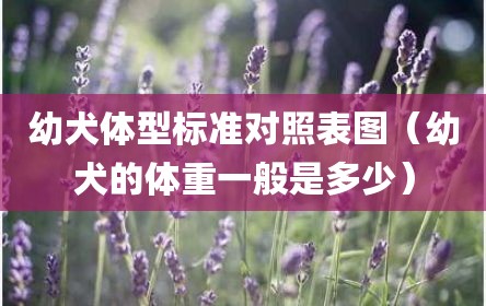 幼犬体型标准对照表图（幼犬的体重一般是多少）