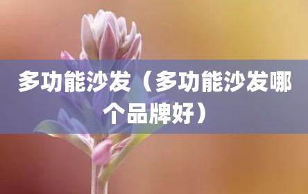 多功能沙发（多功能沙发哪个品牌好）
