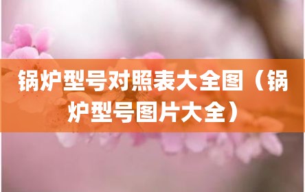锅炉型号对照表大全图（锅炉型号图片大全）