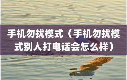手机勿扰模式（手机勿扰模式别人打电话会怎么样）