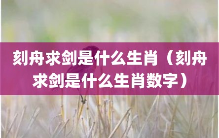 刻舟求剑是什么生肖（刻舟求剑是什么生肖数字）