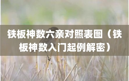 铁板神数六亲对照表图（铁板神数入门起例解密）