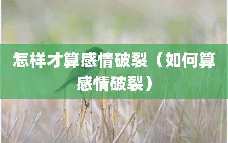 怎样才算感情破裂（如何算感情破裂）