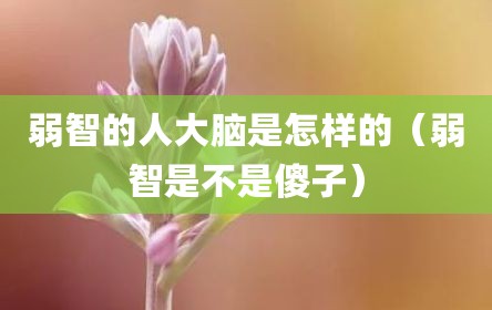 弱智的人大脑是怎样的（弱智是不是傻子）