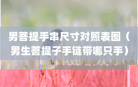 男菩提手串尺寸对照表图（男生菩提子手链带哪只手）