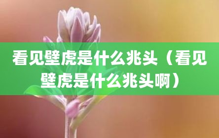 看见壁虎是什么兆头（看见壁虎是什么兆头啊）