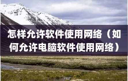 怎样允许软件使用网络（如何允许电脑软件使用网络）