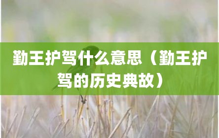 勤王护驾什么意思（勤王护驾的历史典故）