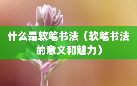 什么是软笔书法（软笔书法的意义和魅力）