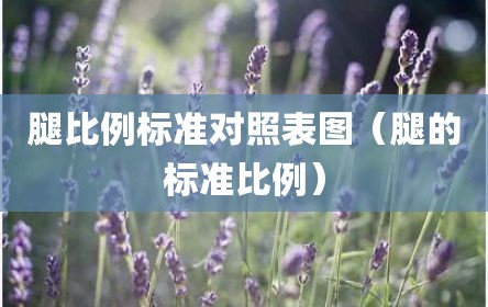 腿比例标准对照表图（腿的标准比例）