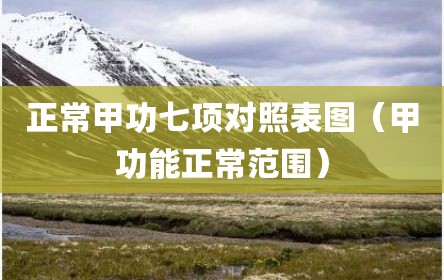 正常甲功七项对照表图（甲功能正常范围）