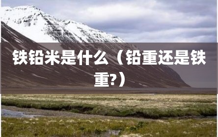 铁铅米是什么（铅重还是铁重?）