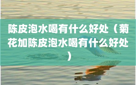 陈皮泡水喝有什么好处（菊花加陈皮泡水喝有什么好处）