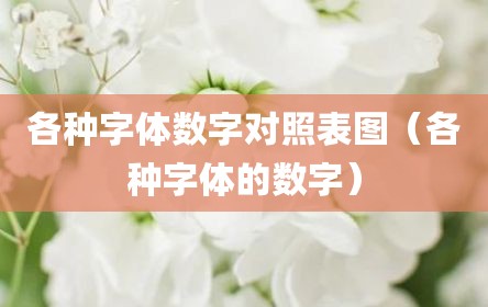 各种字体数字对照表图（各种字体的数字）