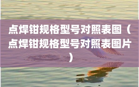 点焊钳规格型号对照表图（点焊钳规格型号对照表图片）