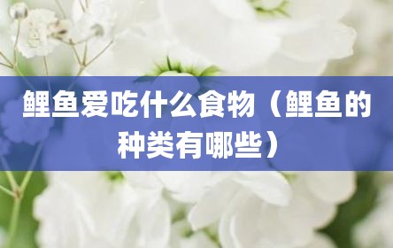 鲤鱼爱吃什么食物（鲤鱼的种类有哪些）