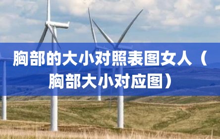 胸部的大小对照表图女人（胸部大小对应图）