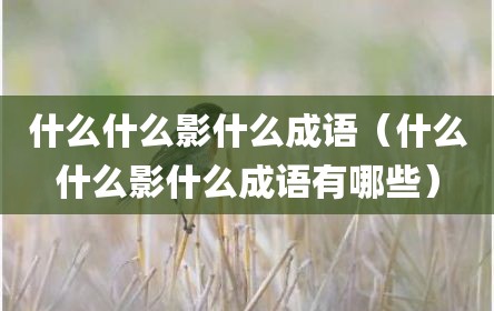 什么什么影什么成语（什么什么影什么成语有哪些）
