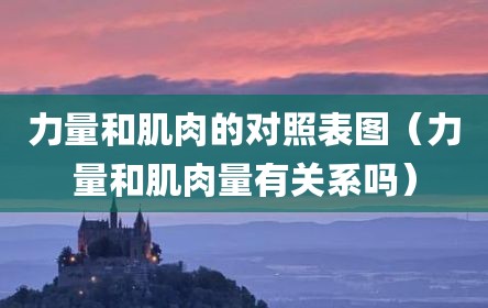 力量和肌肉的对照表图（力量和肌肉量有关系吗）