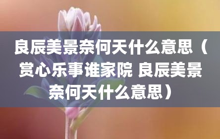 良辰美景奈何天什么意思（赏心乐事谁家院 良辰美景奈何天什么意思）