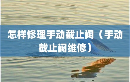怎样修理手动截止阀（手动截止阀维修）