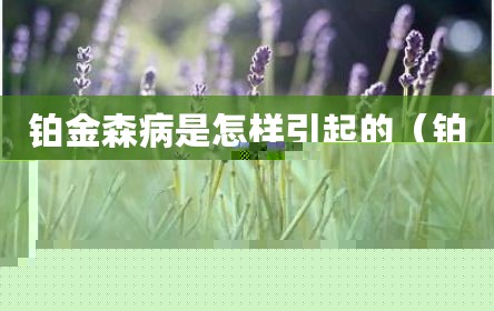 铂金森病是怎样引起的（铂金森综合症是什么意思）