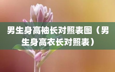 男生身高袖长对照表图（男生身高衣长对照表）