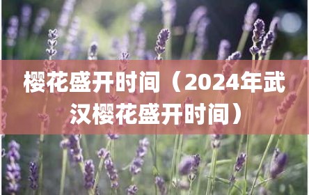 樱花盛开时间（2024年武汉樱花盛开时间）