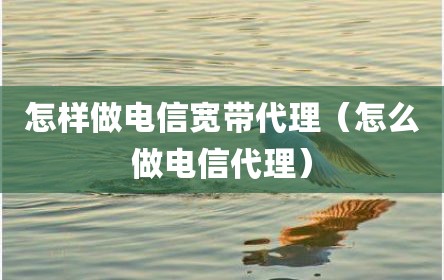 怎样做电信宽带代理（怎么做电信代理）