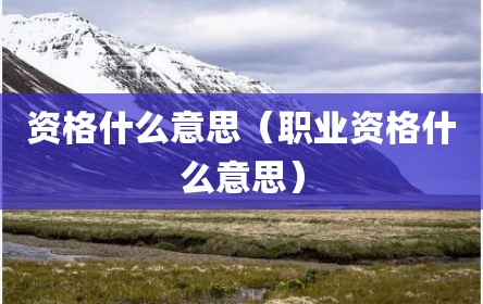 资格什么意思（职业资格什么意思）