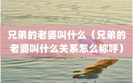 兄弟的老婆叫什么（兄弟的老婆叫什么关系怎么称呼）