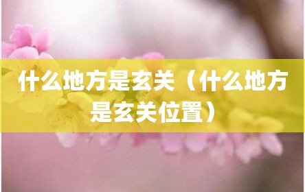 什么地方是玄关（什么地方是玄关位置）