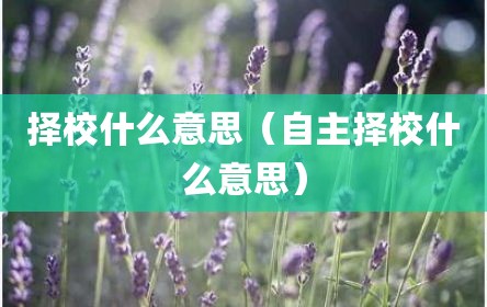 择校什么意思（自主择校什么意思）