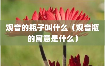 观音的瓶子叫什么（观音瓶的寓意是什么）