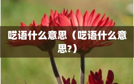 呓语什么意思（呓语什么意思?）