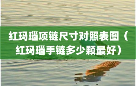 红玛瑙项链尺寸对照表图（红玛瑙手链多少颗最好）