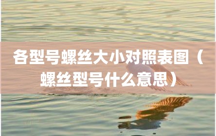 各型号螺丝大小对照表图（螺丝型号什么意思）