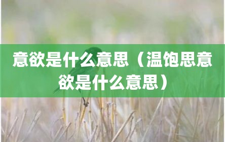 意欲是什么意思（温饱思意欲是什么意思）